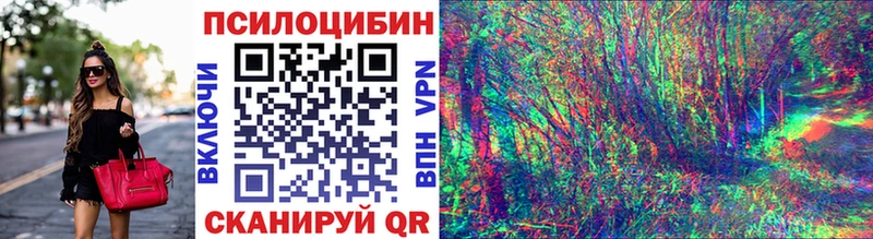 Псилоцибиновые грибы Psilocybine cubensis  darknet какой сайт  Канск  наркота  ОМГ ОМГ маркетплейс 