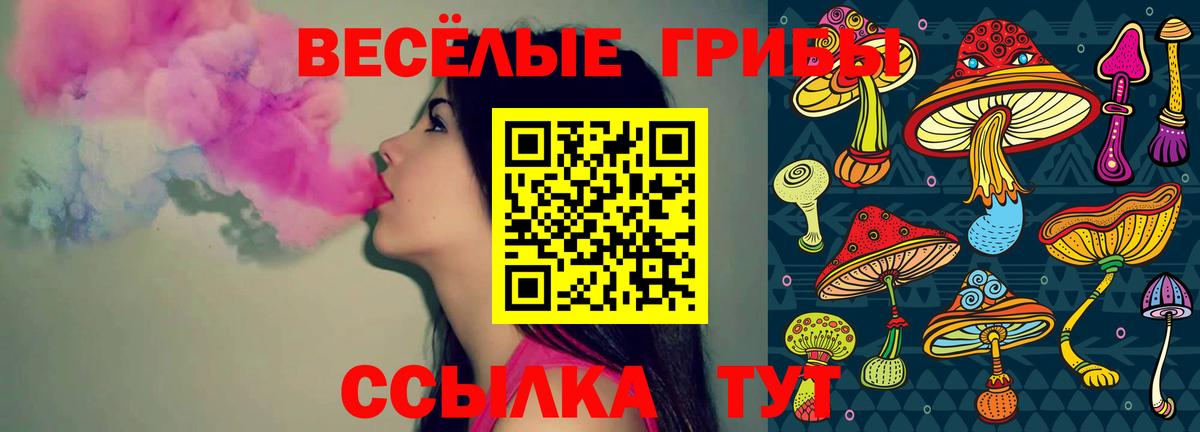 Галлюциногенные грибы мицелий  Псилоцибиновые грибы Psilocybine cubensis  купить наркотики цена  Вход с VPN  Канск 